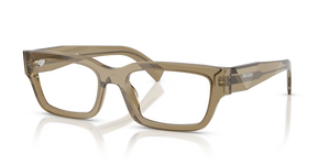 22H1O1 - Transparent Bark with Clear Lenses