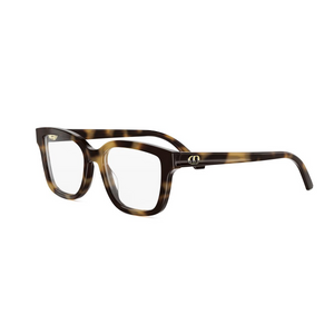 2400 - Shiny Havana with Clear Lenses