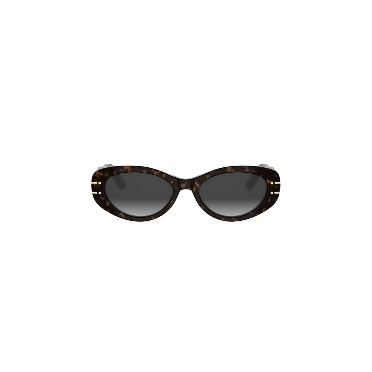 Dior Signature B8U CD40170U Sunglasses