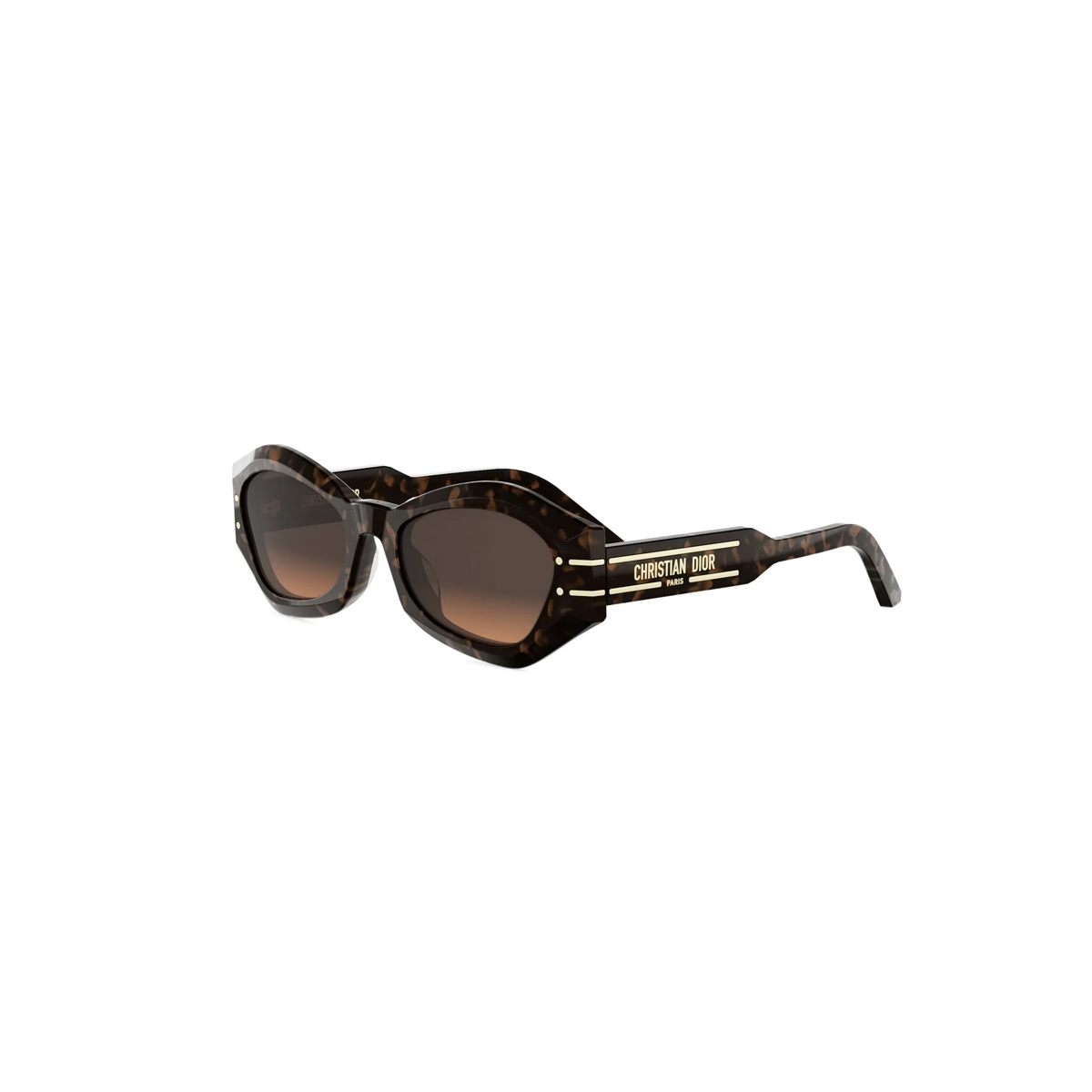 Dior Signature B1U CD40139U Sunglasses
