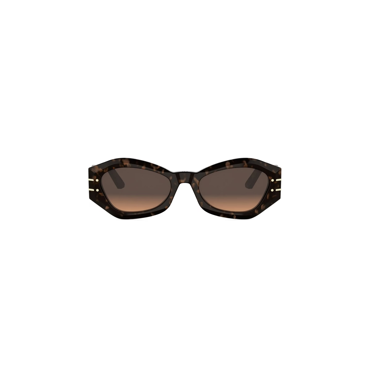 Dior Signature B1U CD40139U Sunglasses