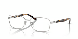 2595 - Brushed Silver with Clear Lenses