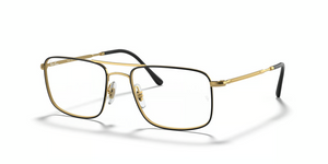 2946 - Black On Gold with Clear Lenses