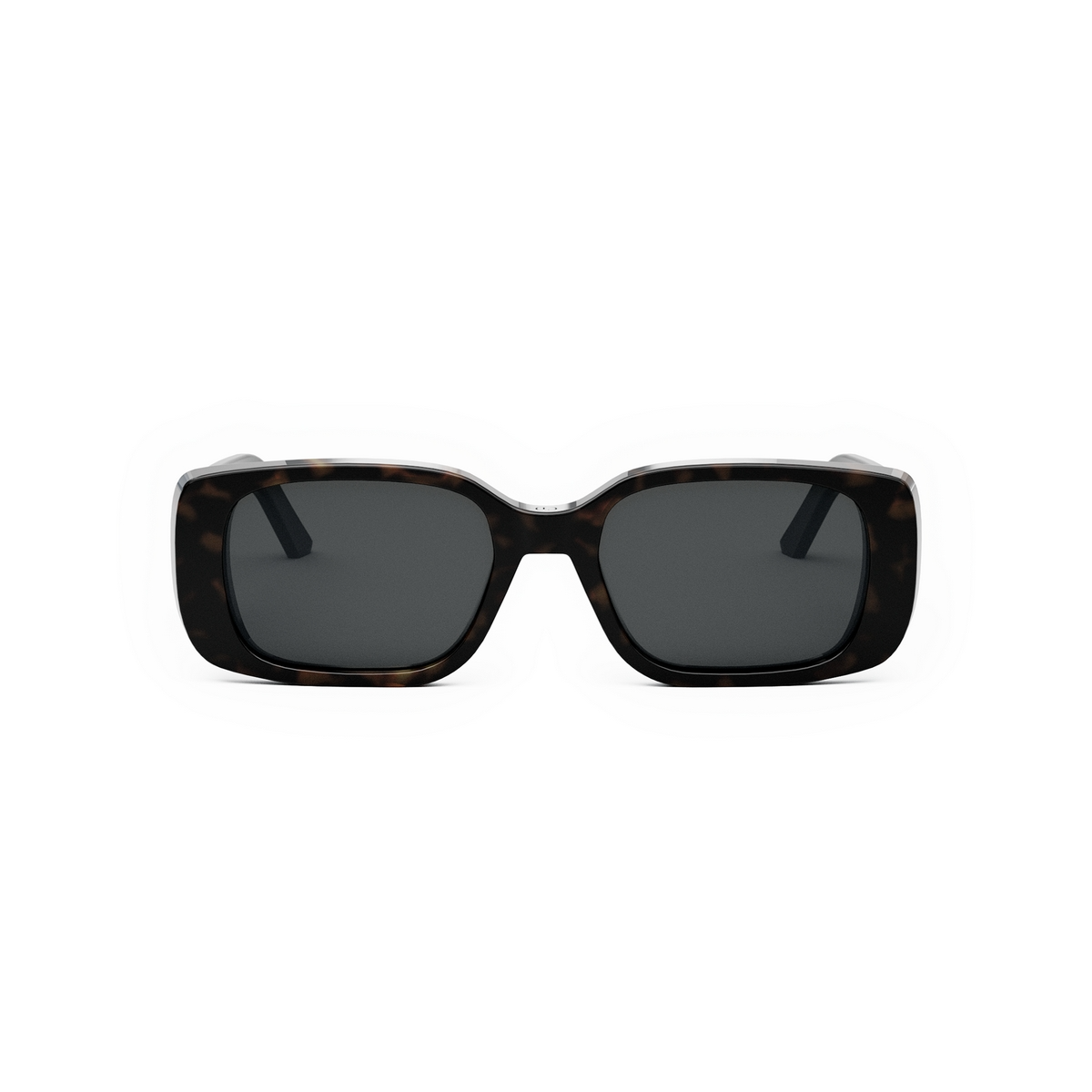 Dior WilDior S2U CD40032U Sunglasses