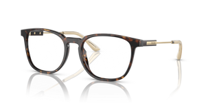 2AU1O1 - Havana with Clear Lenses