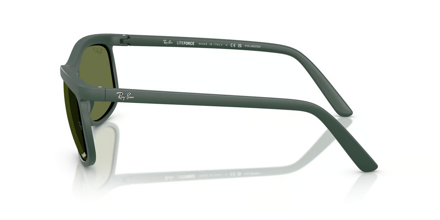 Ray-Ban RB4452CH Sunglasses