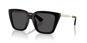 300187 - Black with Dark Grey Lenses