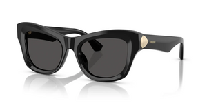 300187 - Black with Dark Grey Lenses