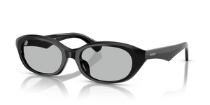 300187 - Black with Light Grey Lenses