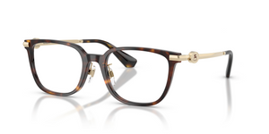 3002 - Dark Havana with Clear Lenses
