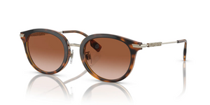 300213 - Dark Havana with Brown Gradient Lenses