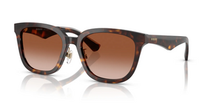 300213 - Dark Havana with Brown Gradient Lenses