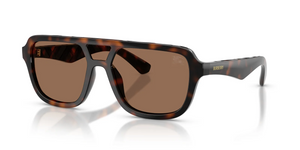 300273 - Dark Havana with Dark Brown Lenses