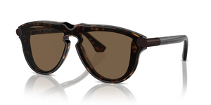 300273 - Dark Havana with Brown Lenses