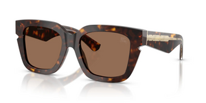 300273 - Dark Havana with Dark Brown Lenses
