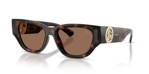 300273 - Dark Havana with Dark Brown Lenses