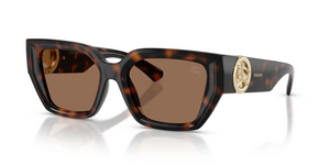 300273 - Dark Havana with Dark Brown Lenses