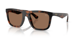 300273 - Dark Havana with Dark Brown Lenses