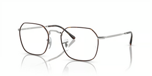3178 - Havana On Silver with Clear Lenses
