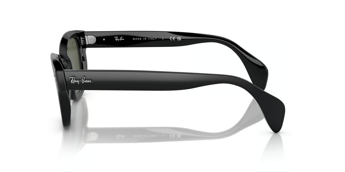 Ray-Ban RB0880S Sunglasses