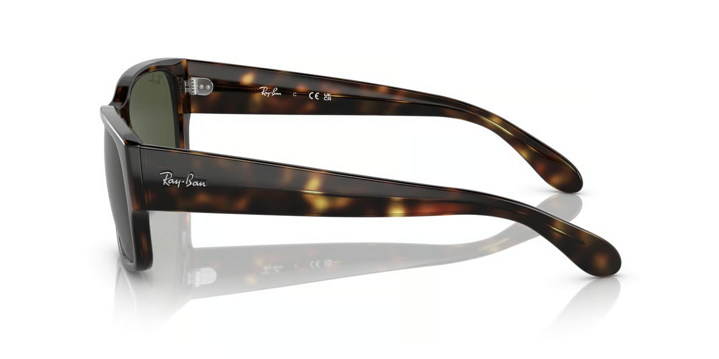 Ray-Ban RB4388 Sunglasses