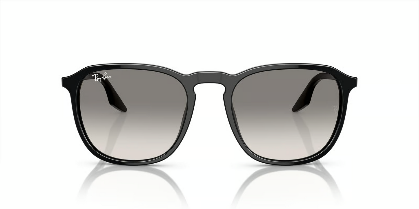 Ray-Ban RB2203F Sunglasses