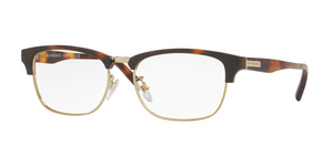 3316 - Light Havana/Light Gold with Clear Lenses