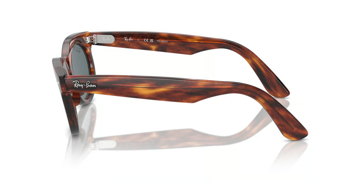 Ray-Ban RB2242F Wayfarer Oval Sunglasses