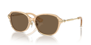 406373 - Brown with Dark Brown Lenses