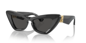 411287 - Dark Grey with Dark Grey Lenses