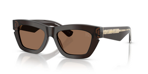 411673 - Brown with Dark Brown Lenses