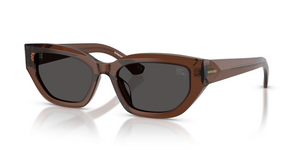 411687 - Brown with Dark Grey Lenses