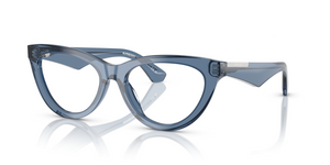 4117 - Blue with Clear Lenses