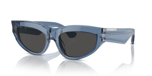 411787 - Blue with Dark Grey Lenses