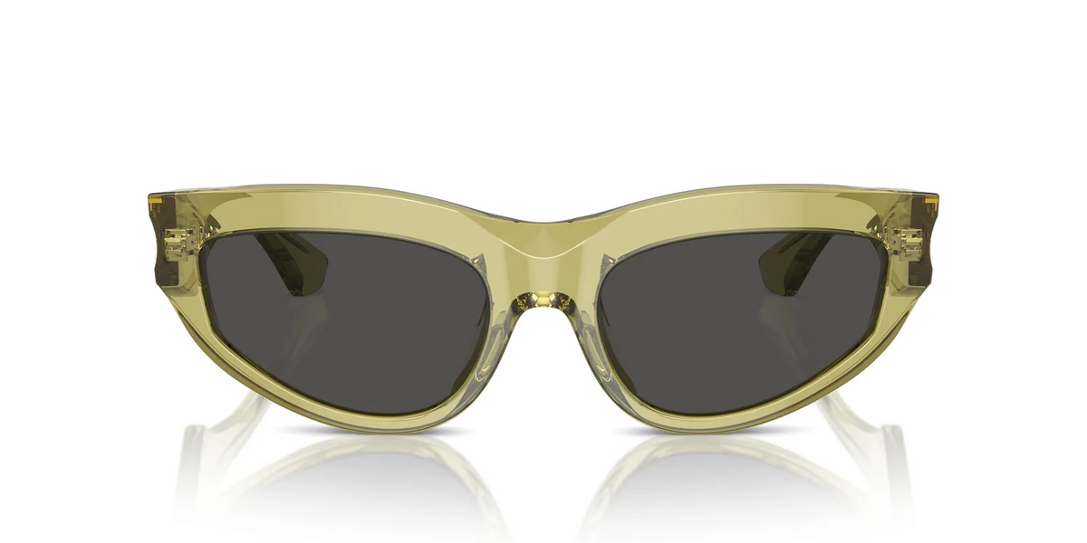Burberry BE4425U Sunglasses