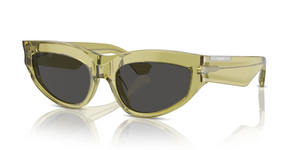 411887 - Green with Dark Grey Lenses