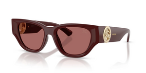 411969 - Bordeaux with Dark Violet Lenses