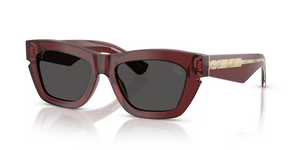 412887 - Bordeaux with Dark Grey Lenses