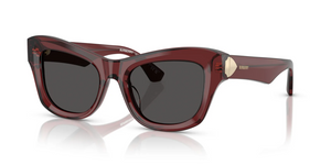 412887 - Bordeaux with Dark Brown Lenses