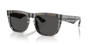414787 - Check Lichen with Dark Grey Lenses