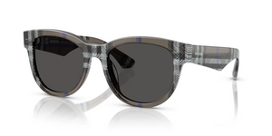 414787 - Check Lichen with Dark Grey Lenses
