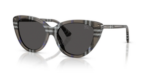 416687 - Check Lichen with Dark Grey Lenses