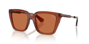 419573 - Brown with Brown Lenses