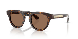 420573 - Dark Havana with Dark Brown Lenses