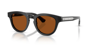 421173 - Grey with Dark Brown Lenses