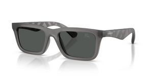 421387 - Matte Grey with Dark Grey Lenses