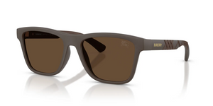 423473 - Matte Brown with Dark Brown Lenses