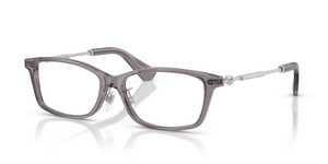 4241 - Grey with Clear Lenses