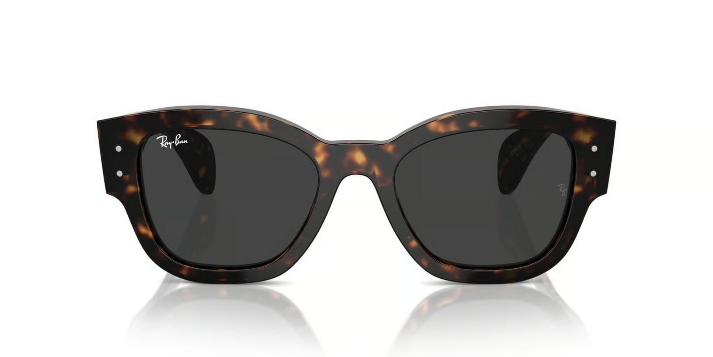 Ray-Ban RB7681S Jorge Sunglasses