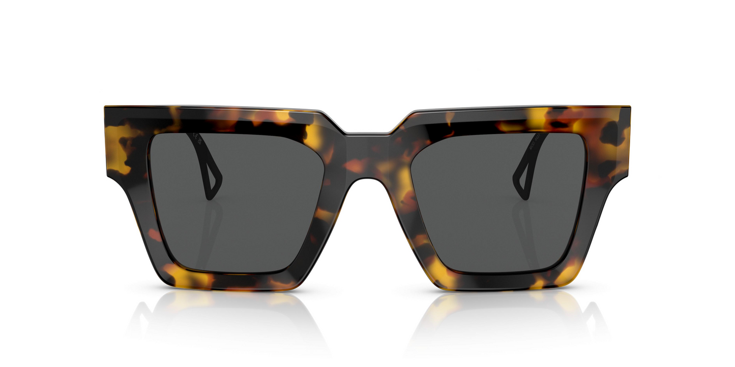 Versace VE4431 Sunglasses